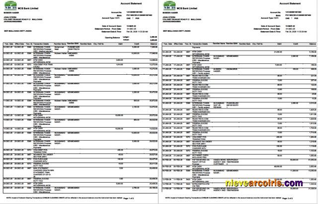 Pakistan MCB Bank account statement Word and PDF, 2 pages